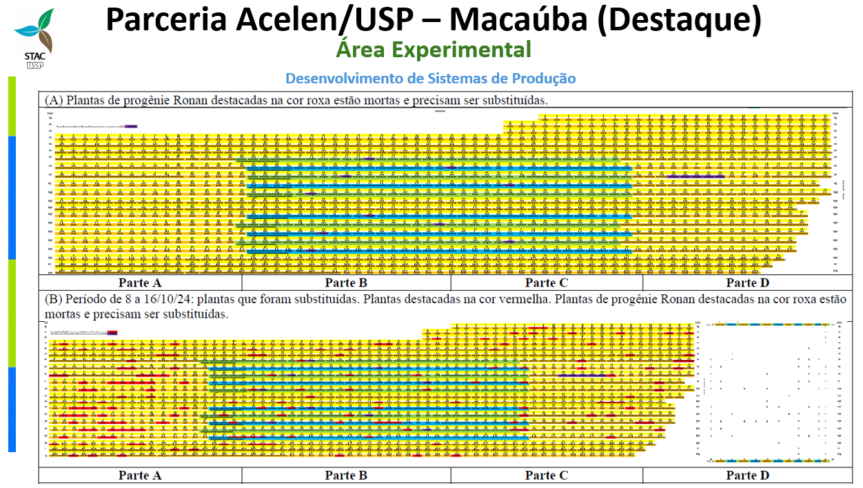 Foto 1 Fluxograma
